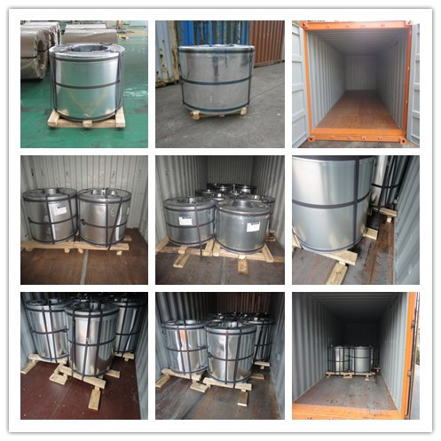 EN10147 Zero Spangle Hot Dipped Galvanized Steel Strip with Passivated and Oiled