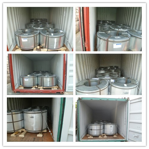 EN10147 Zero Spangle Hot Dipped Galvanized Steel Strip with Passivated and Oiled