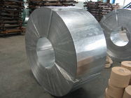 EN10147 Zero Spangle Hot Dipped Galvanized Steel Strip with Passivated and Oiled